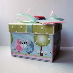 scrapbooking,pudełko,prezent,sówki - Inne - Akcesoria