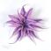 Broszki filcowany kwiat broszka,lilia broszka