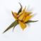 Broszki broszka kwiatowa filcowana irys